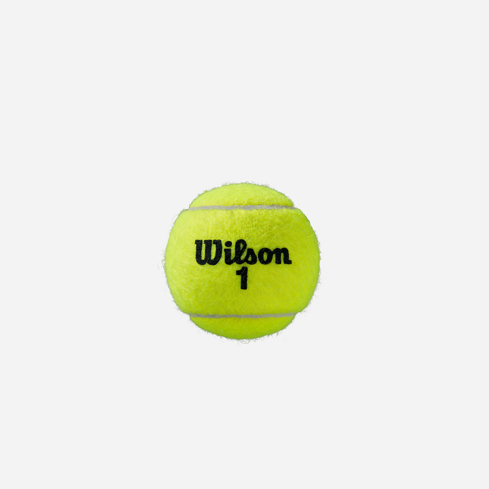 윌슨 WRT115000 롤랑 가로스 클레이 코트 4볼캔 윌슨 WRT115000 롤랑 가로스 클레이 코트 4볼캔